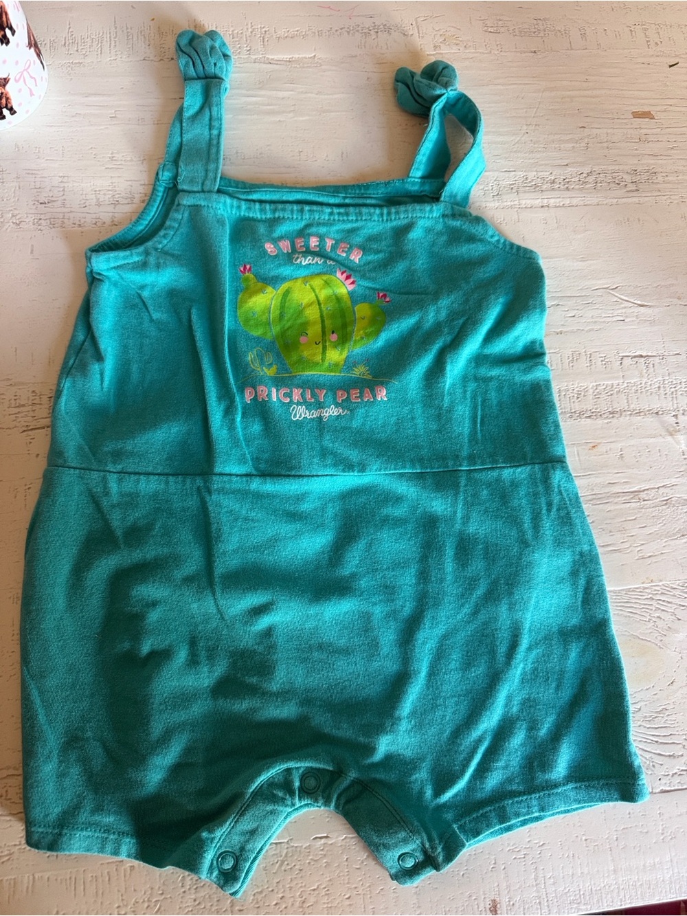 Wrangler Turquoise Cactus Graphic Baby Romper